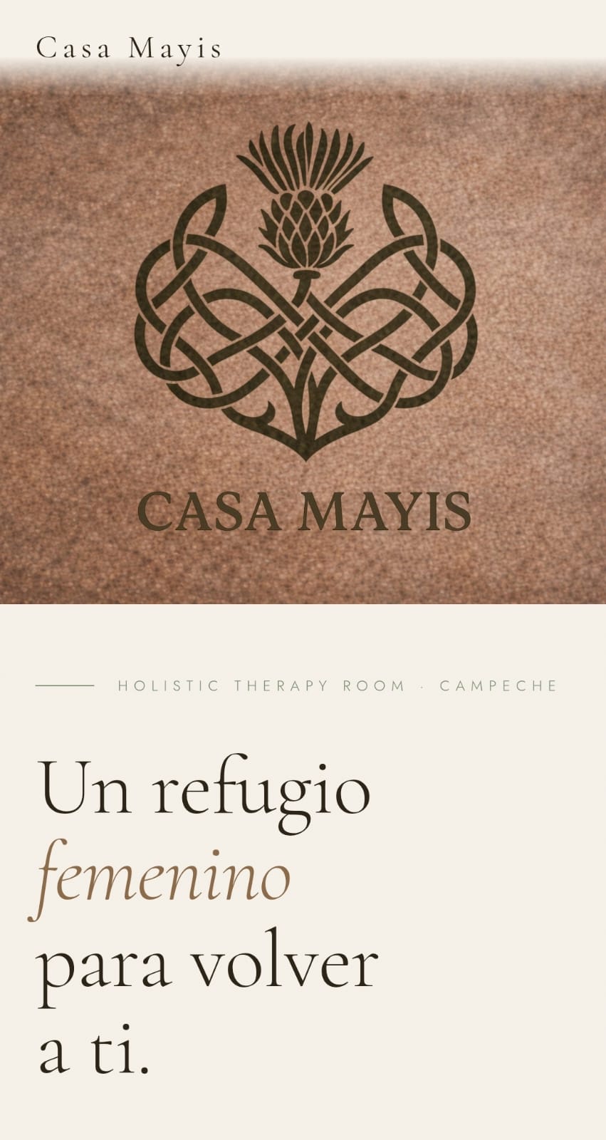 Casa Mayis website